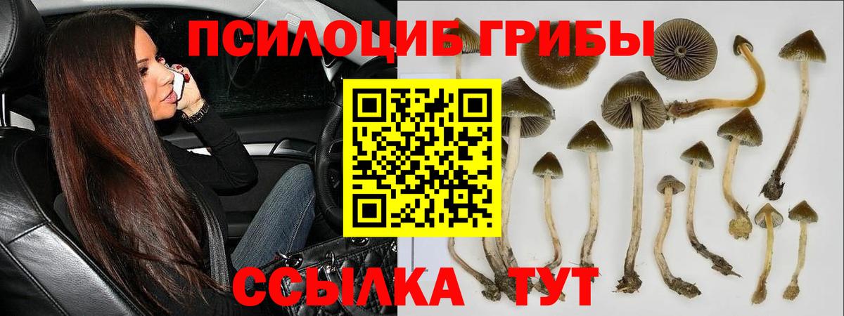Галлюциногенные грибы MAGIC MUSHROOMS Черняховск