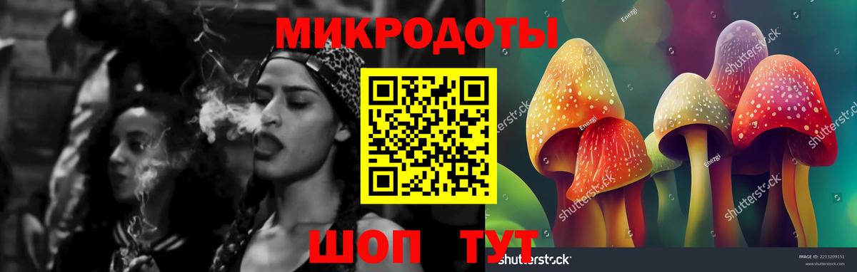 Галлюциногенные грибы Magic Shrooms  Вход с VPN  Черняховск 